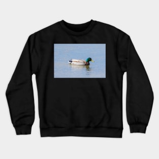 Mallard Crewneck Sweatshirt